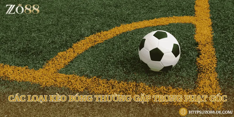 Kèo phạt góc là gì? Các loại kèo thường gặp Tổng hợp những loại kèo cược phạt góc trong cá độ bóng đá