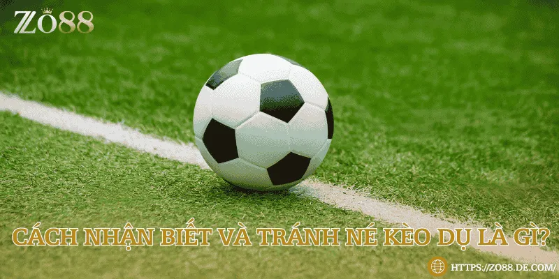 Nhận biết được kèo bẫy là một điều vô cùng quan trọng