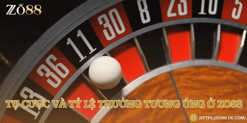 Những tụ cược và tỷ lệ thưởng hấp dẫn đáng để trải nghiệm